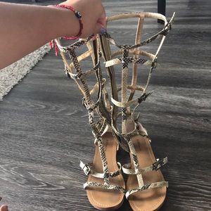 Gladiator shoes